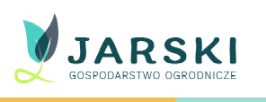 sadzonki krzewów owocowych